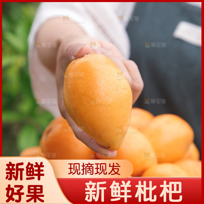 手里拿着大枇杷