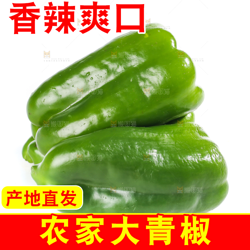 白底上的青椒