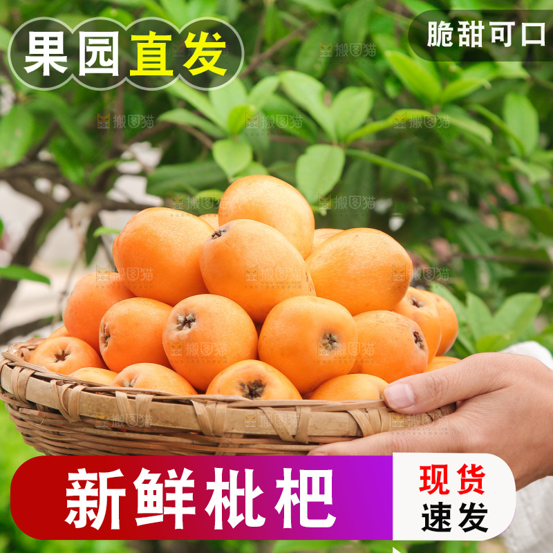 女人手里端着一篮枇杷
