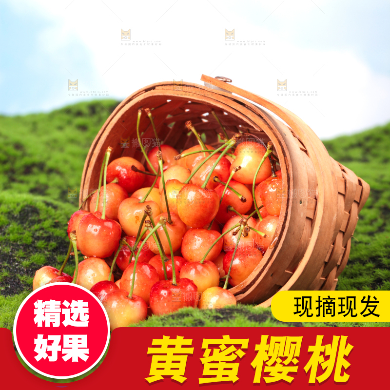 草地上的黄蜜樱桃