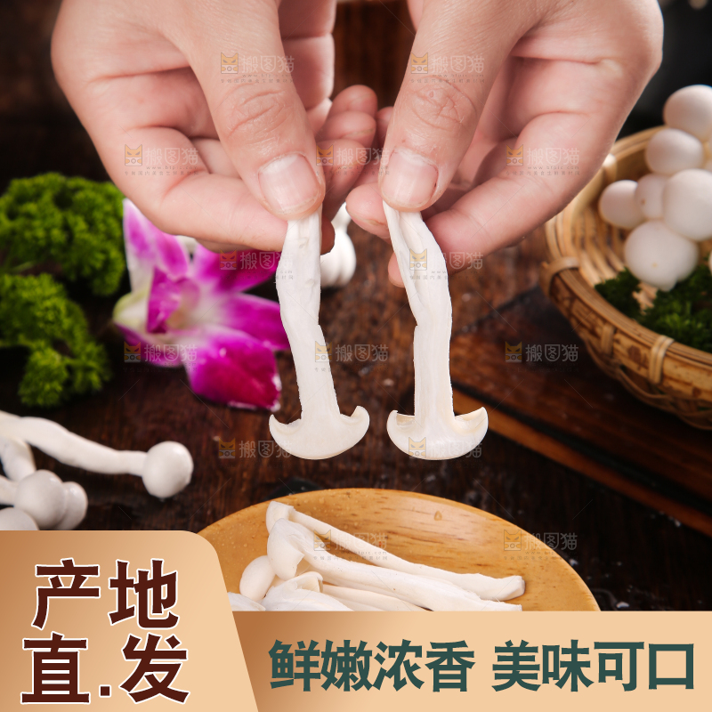 深底上的白玉菇