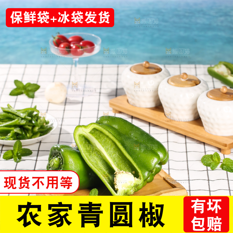 浅底上的青圆椒