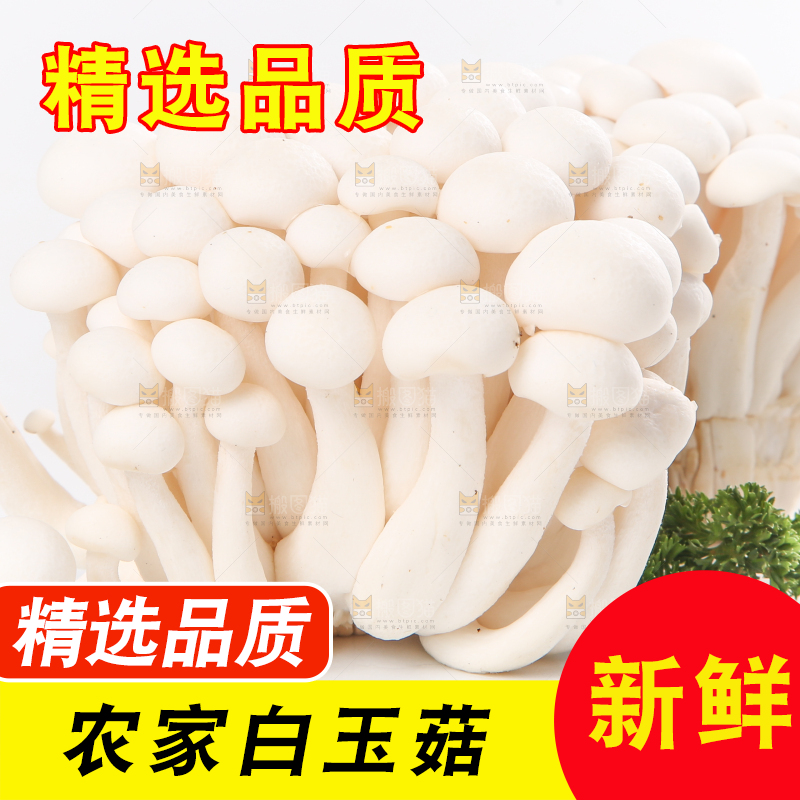 白底上的白玉菇