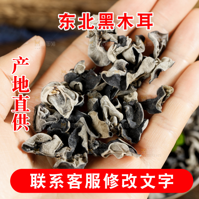 木底上的野生木耳