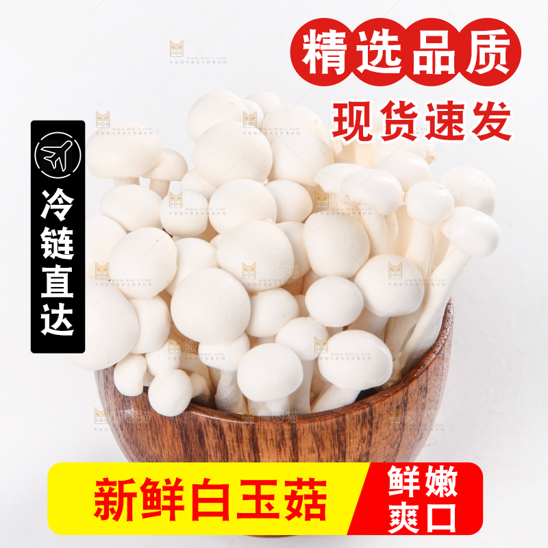 白底上的白玉菇