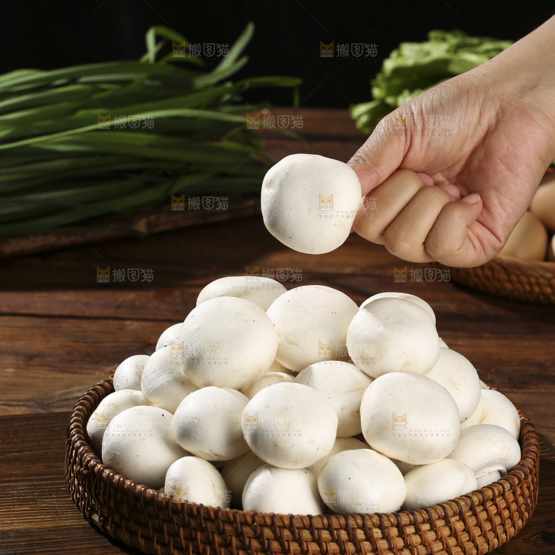 木底上的口蘑