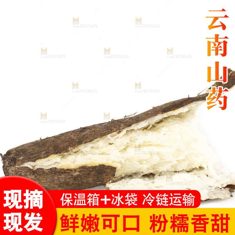 白底上的云南山药