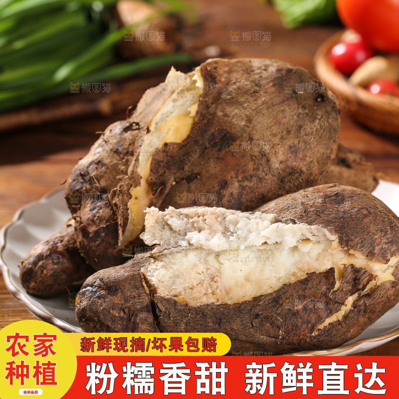 木底上的云南山药