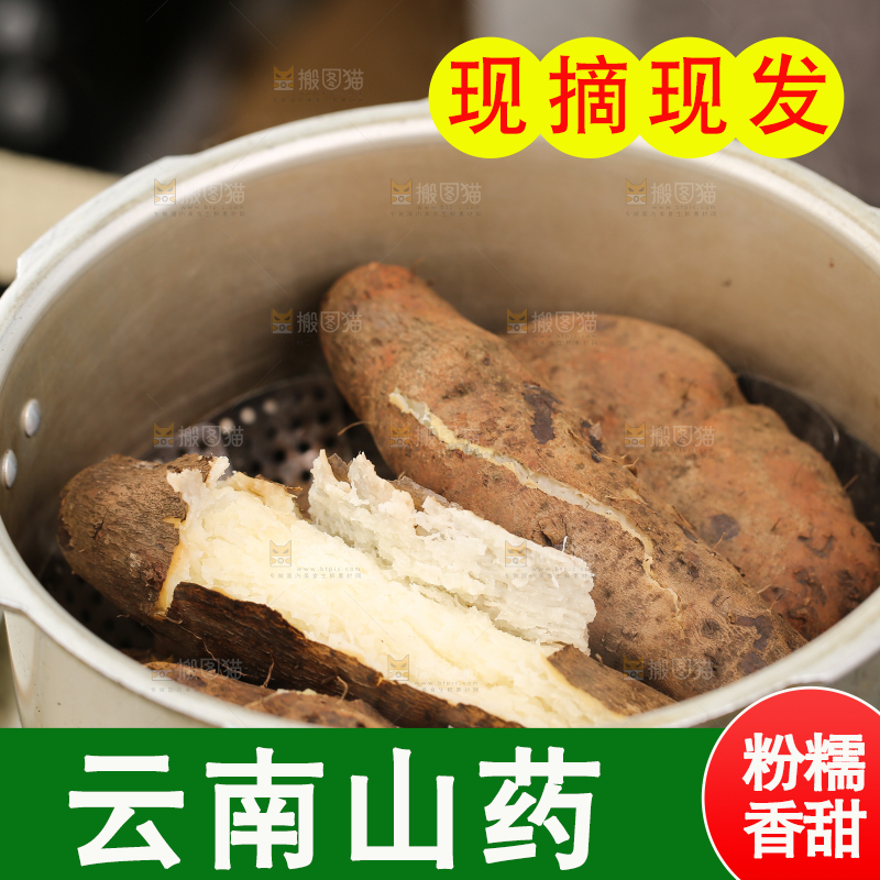木底上的云南山药