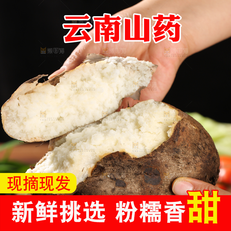 木底上的云南山药