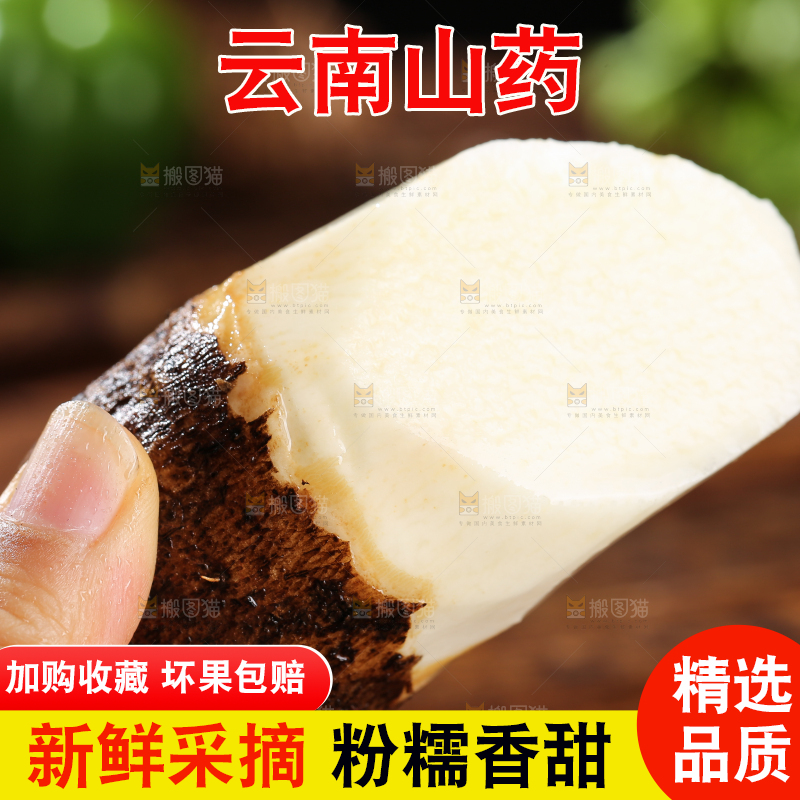 木底上的云南山药