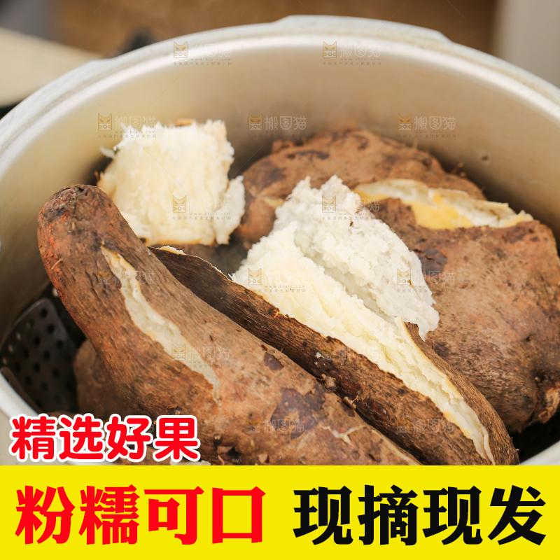 木底上的云南山药