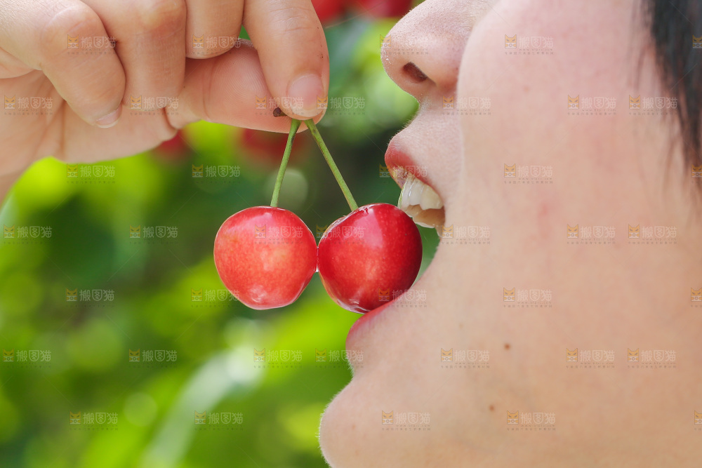手里拿着新鲜大樱桃