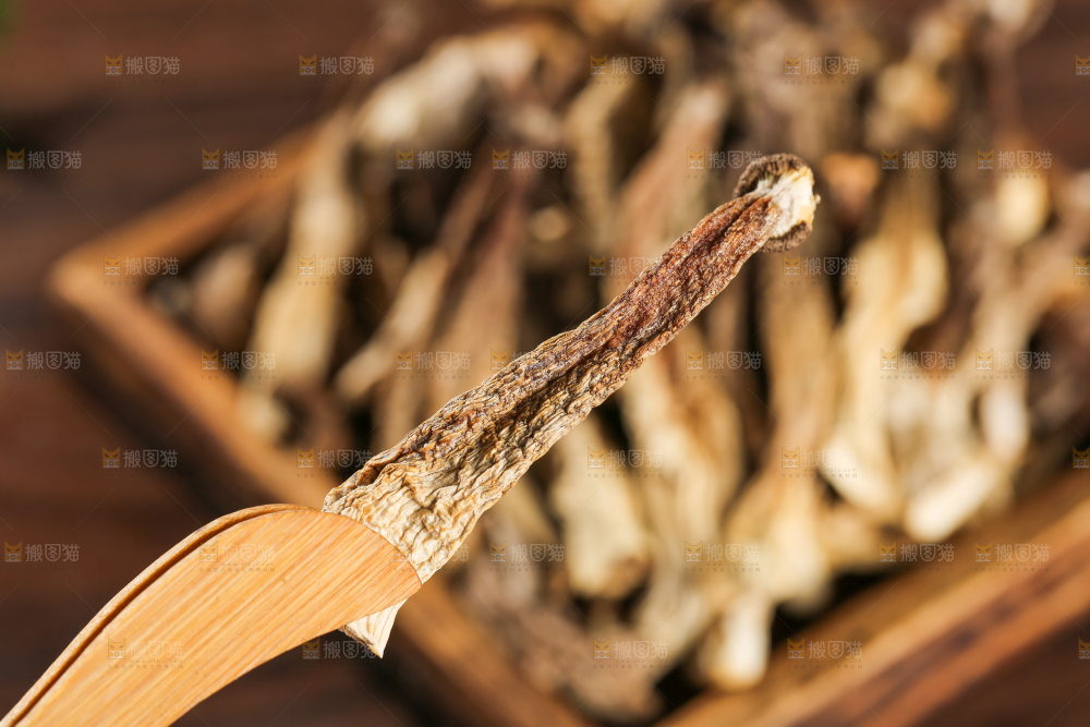 深底上的鹿茸菇