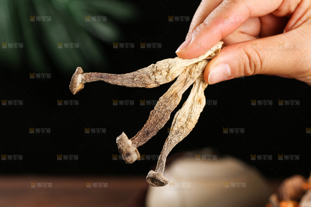 深底上的鹿茸菇