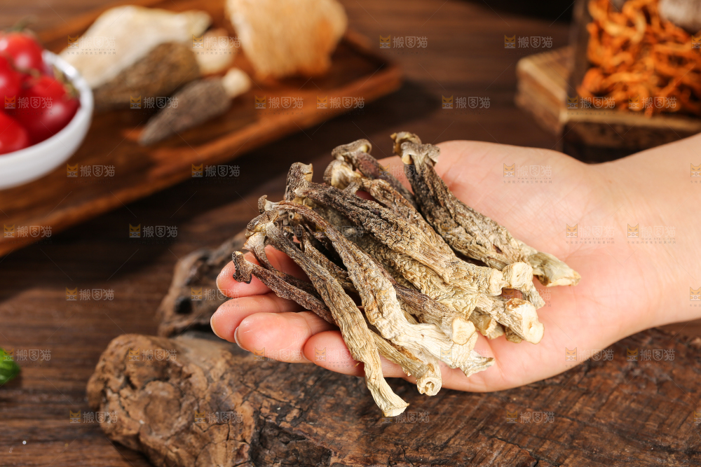 深底上的鹿茸菇