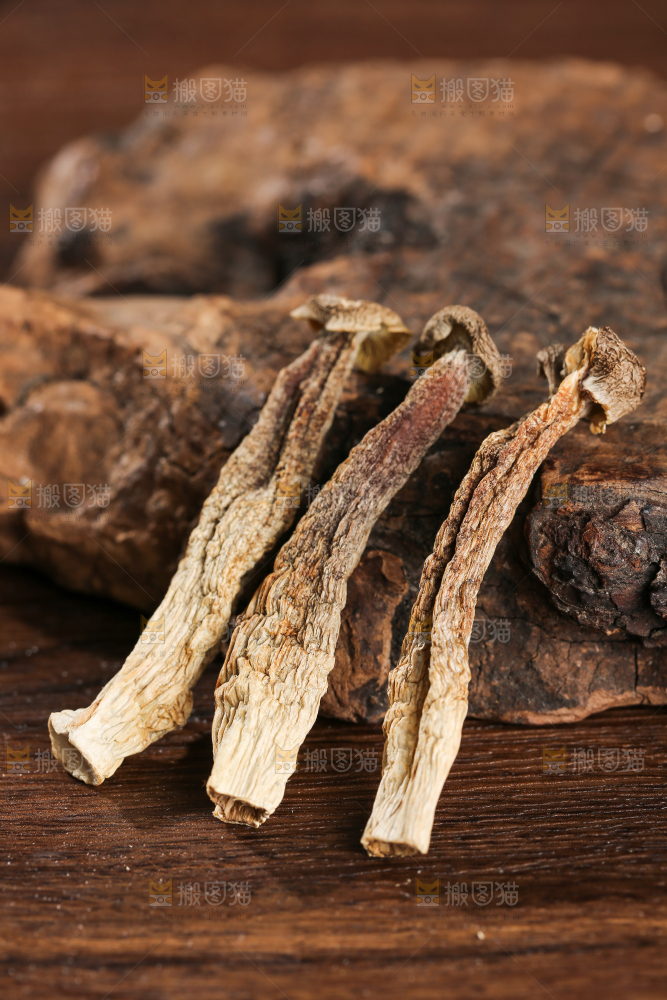 深底上的鹿茸菇