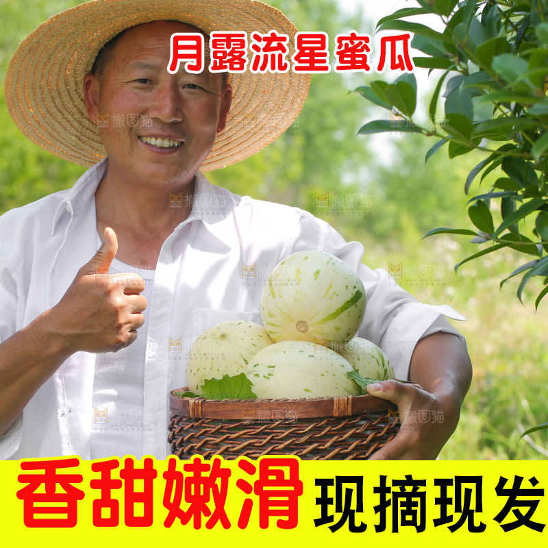 手里拿着流星蜜瓜