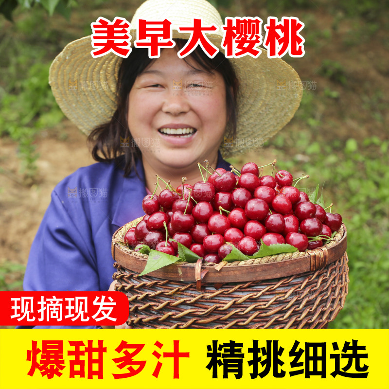 手里拿着新鲜大樱桃