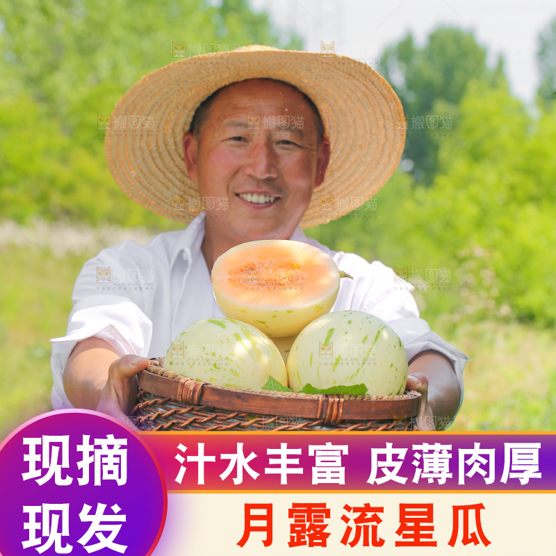 手里拿着流星蜜瓜