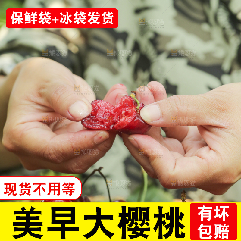 手里拿着新鲜大樱桃