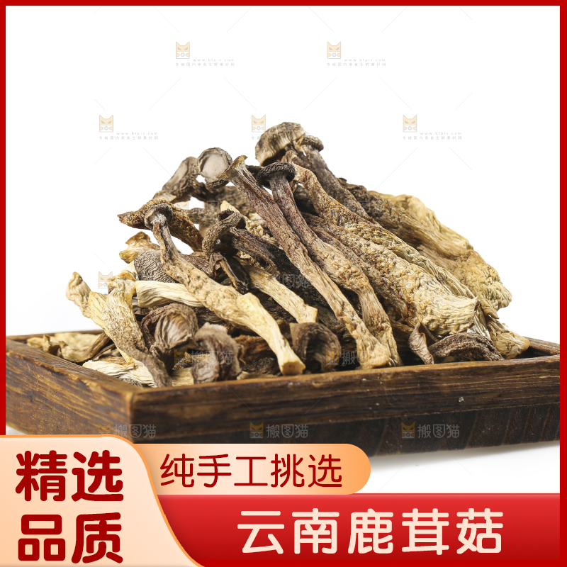 白底上的鹿茸菇