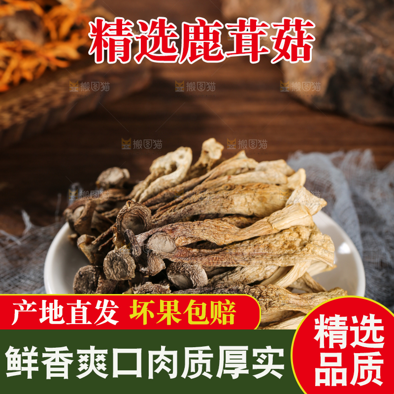 深底上的鹿茸菇