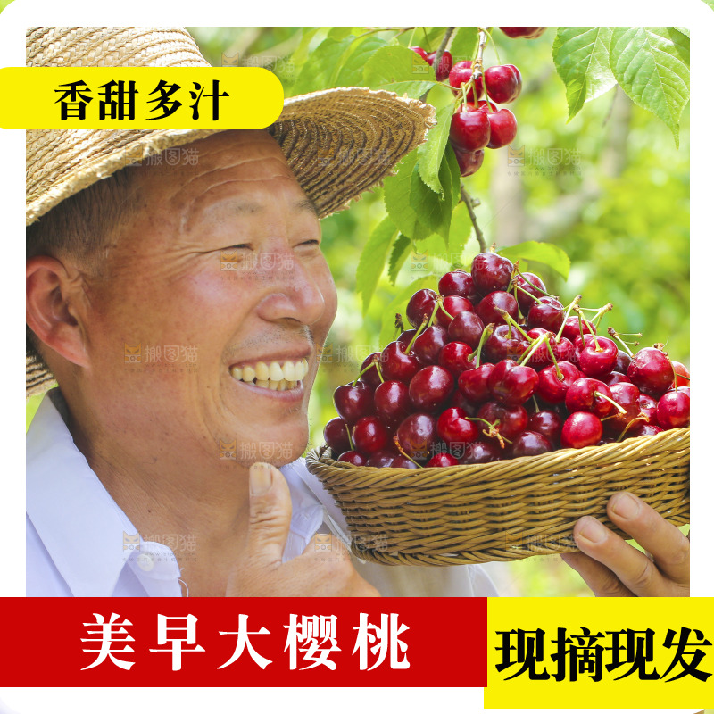 手里拿着新鲜大樱桃