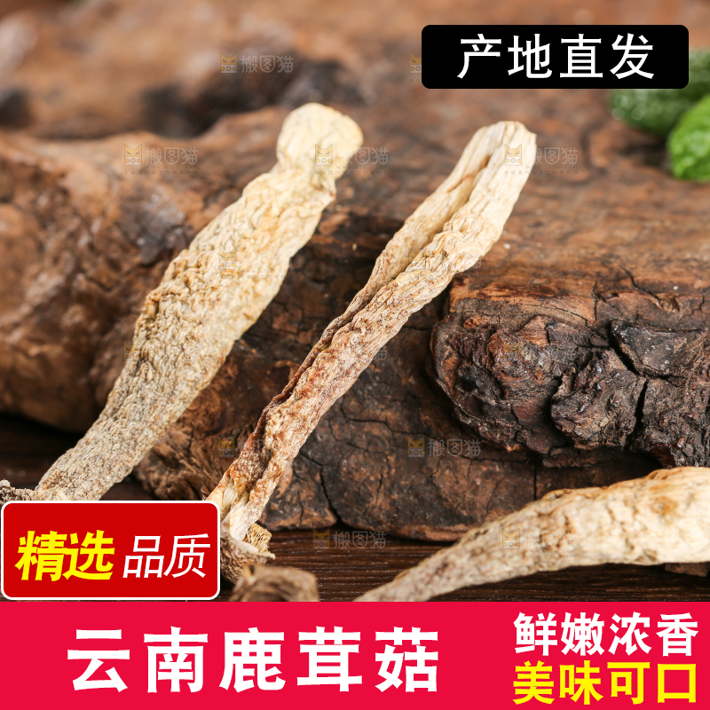 深底上的鹿茸菇
