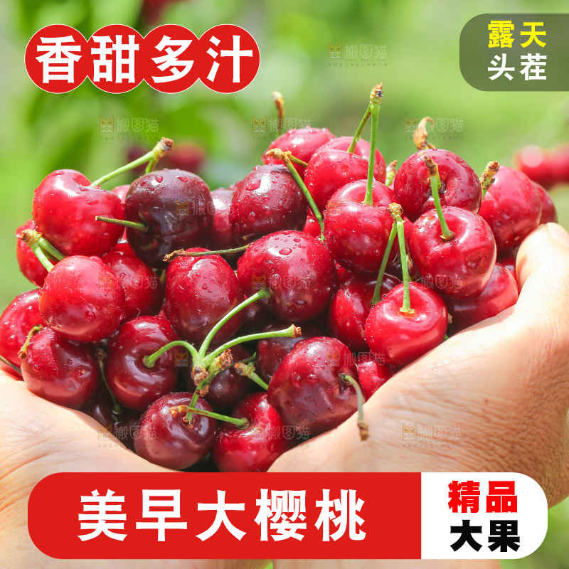 手里拿着新鲜大樱桃