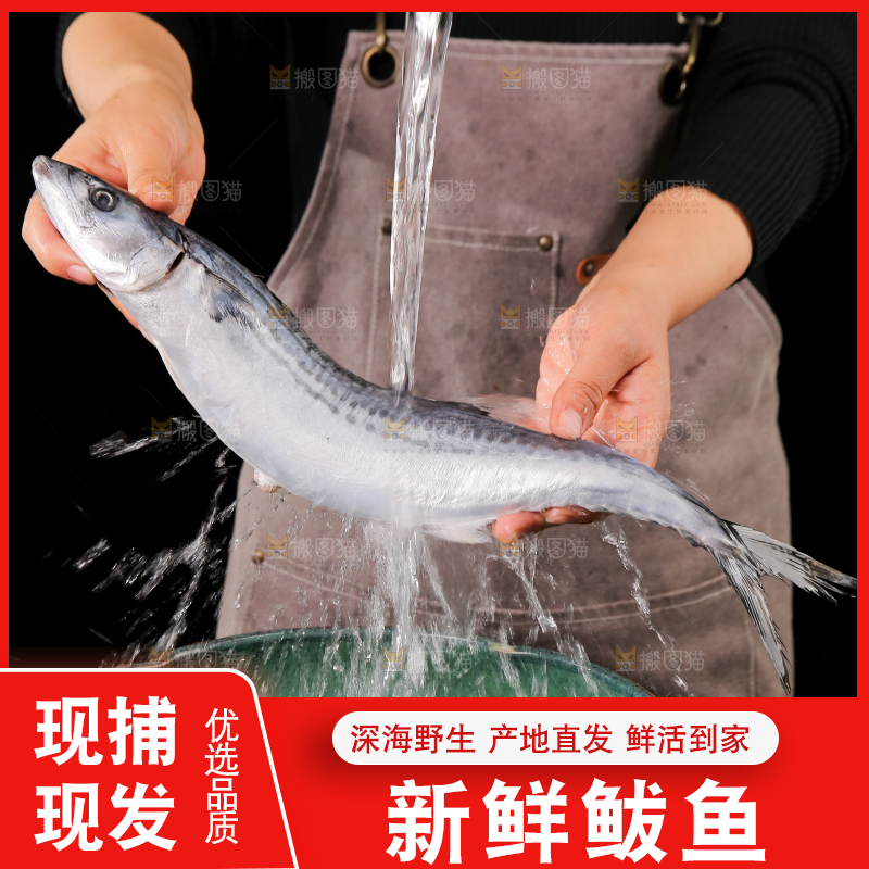 黑底上的新鲜鲅鱼