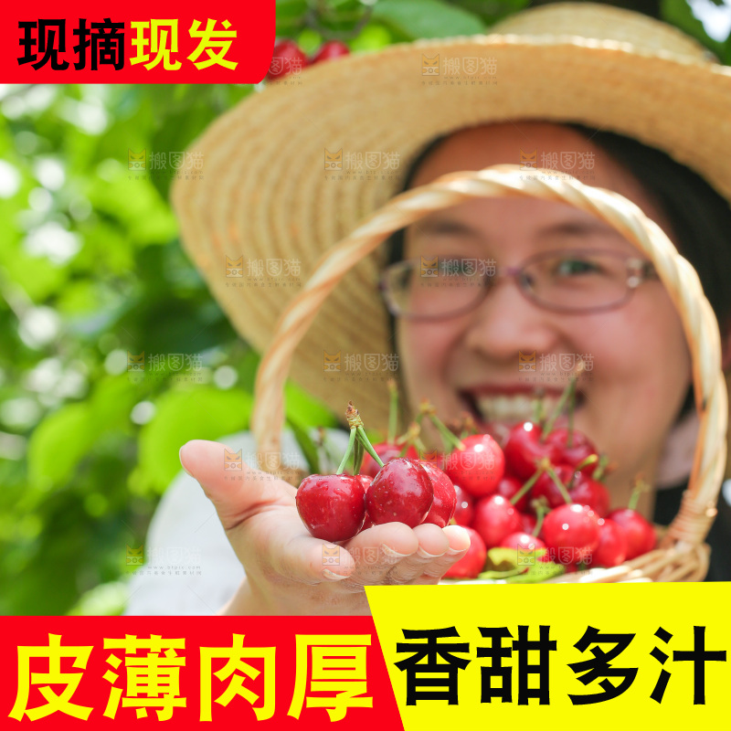 手里拿着新鲜大樱桃