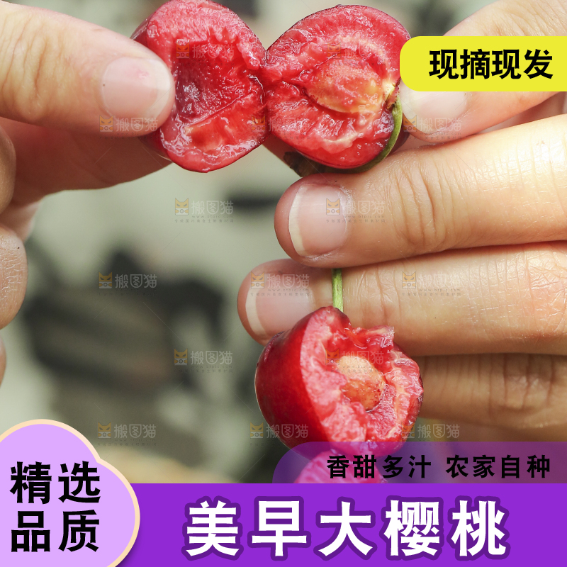 手里拿着新鲜大樱桃