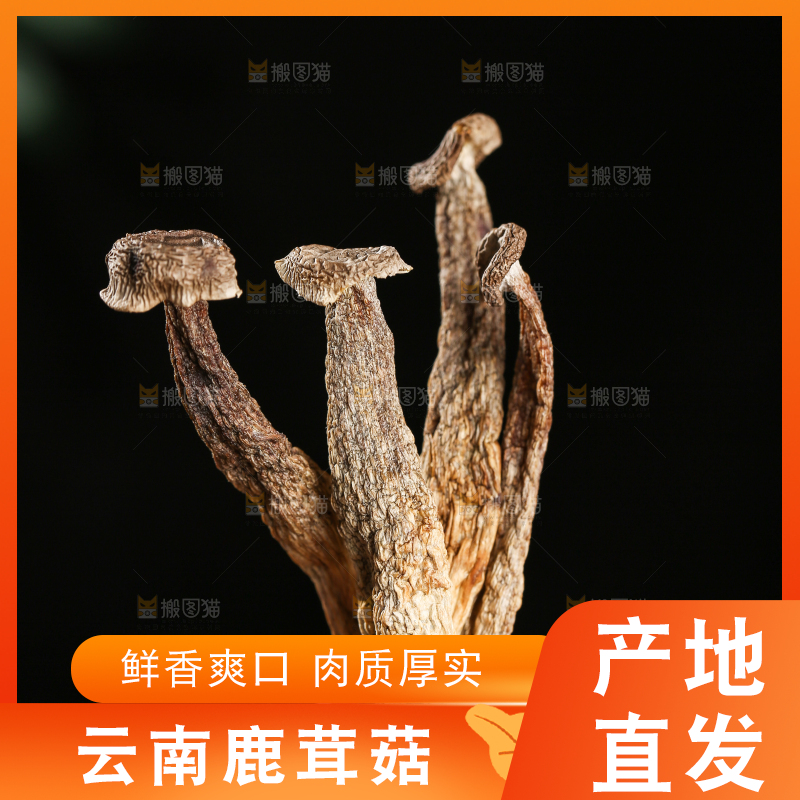 深底上的鹿茸菇