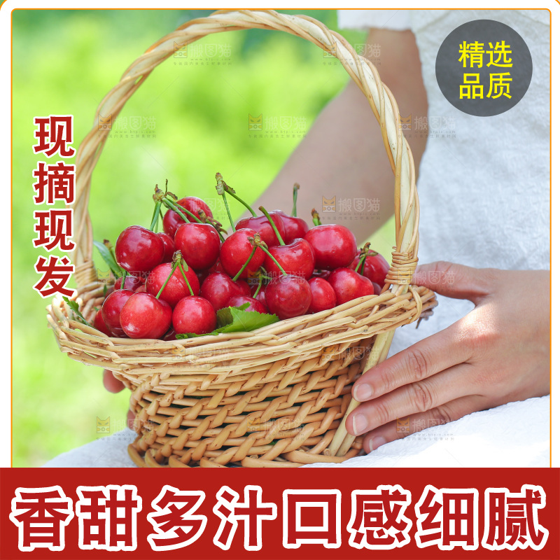 手里拿着新鲜大樱桃