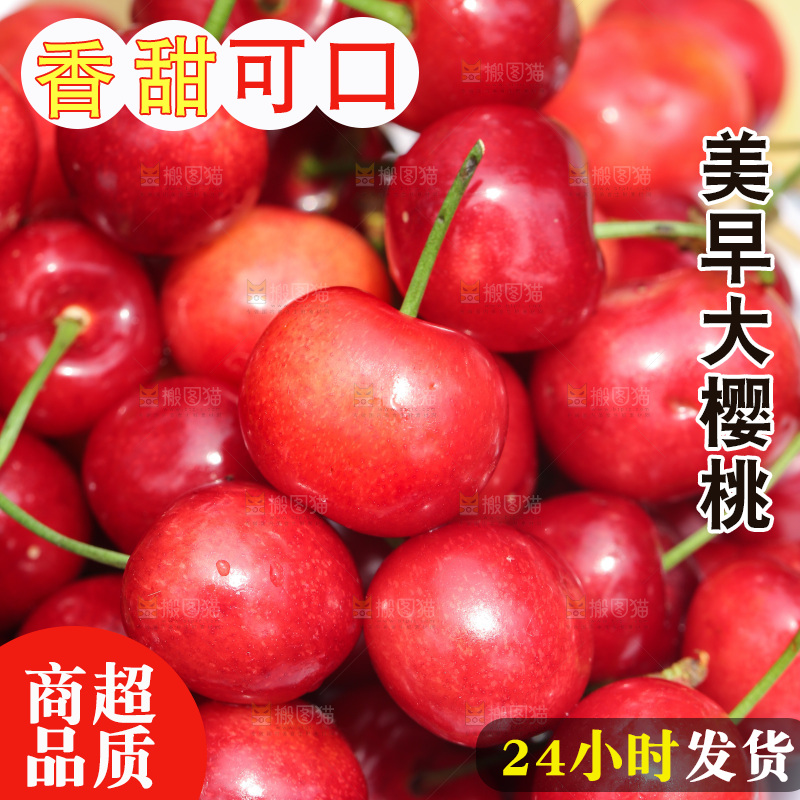 手里拿着新鲜大樱桃