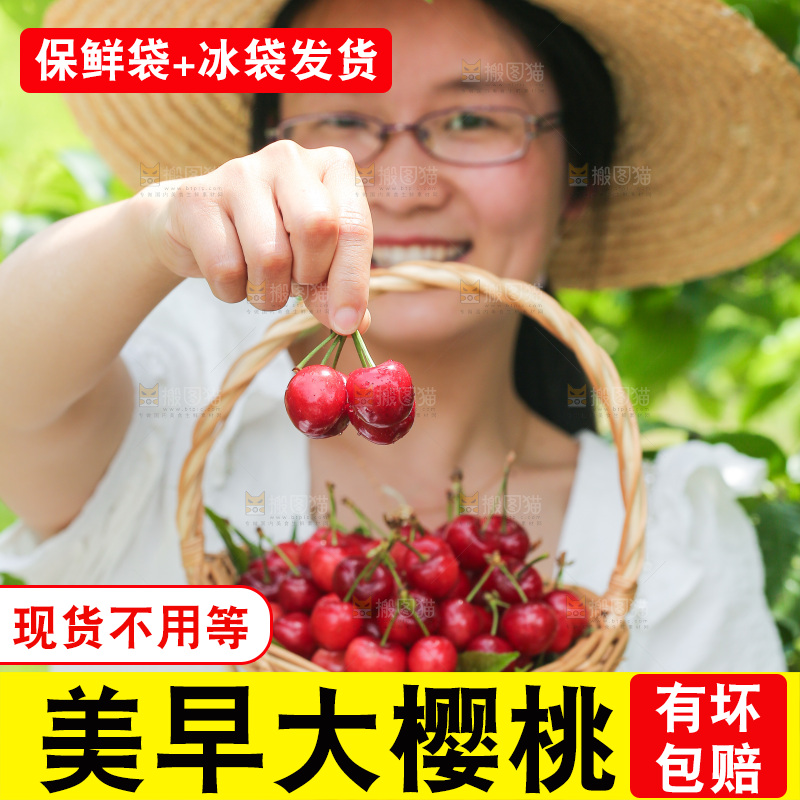 手里拿着新鲜大樱桃