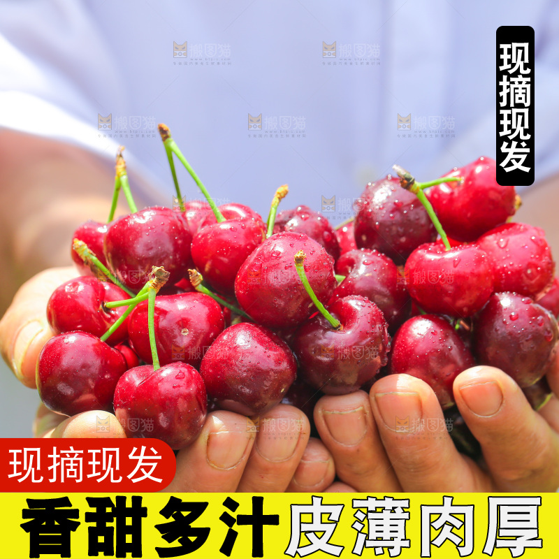 手里拿着新鲜大樱桃