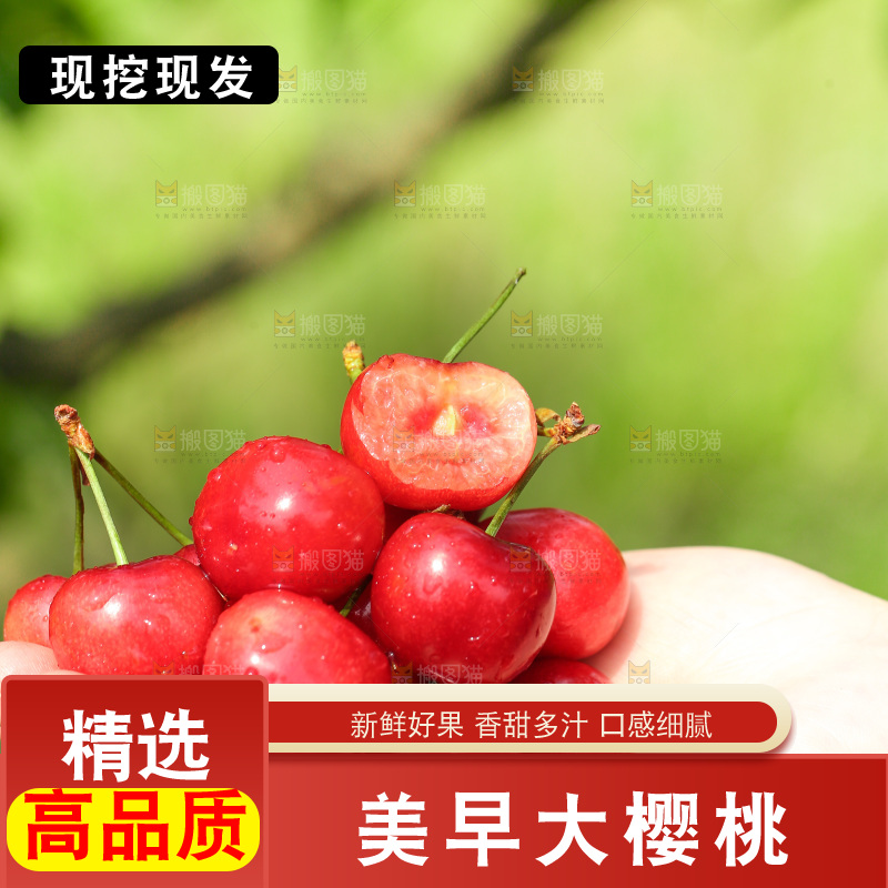 手里拿着新鲜大樱桃