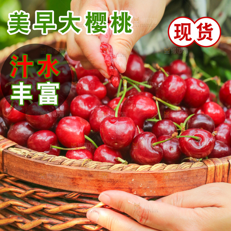 手里拿着新鲜大樱桃
