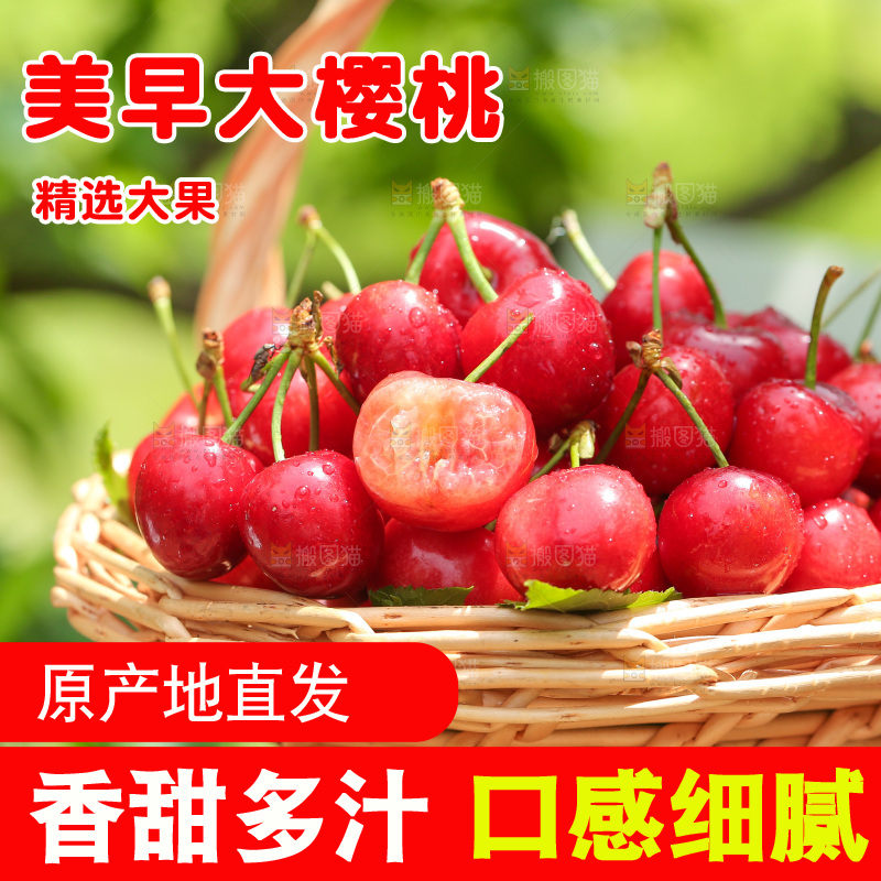 手里拿着新鲜大樱桃