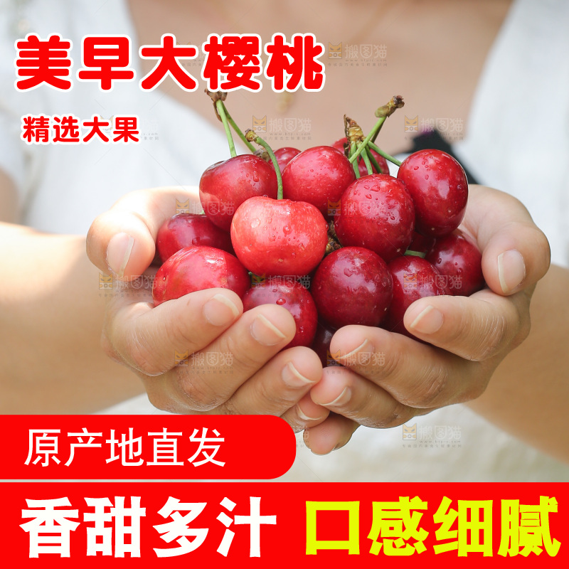 手里拿着新鲜大樱桃