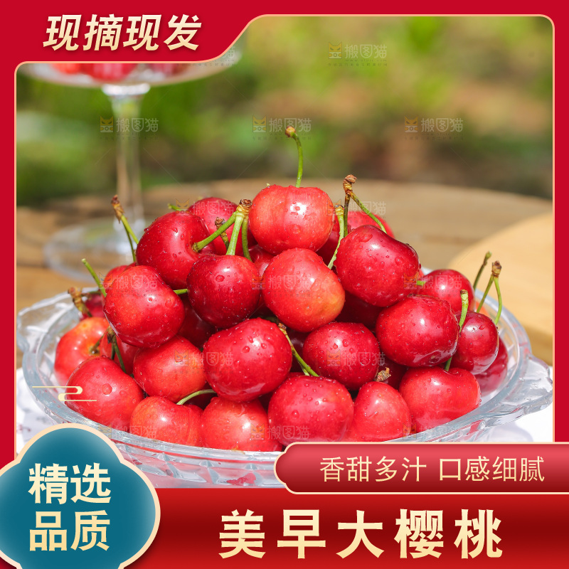手里拿着新鲜大樱桃