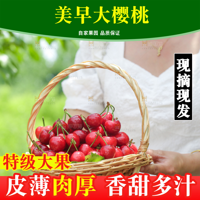 手里拿着新鲜大樱桃