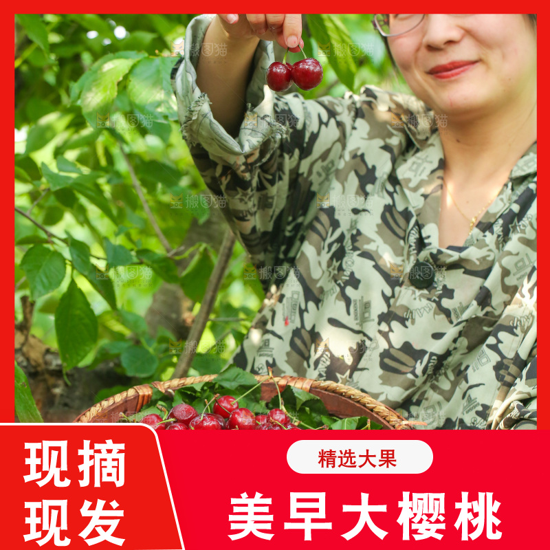 手里拿着新鲜大樱桃