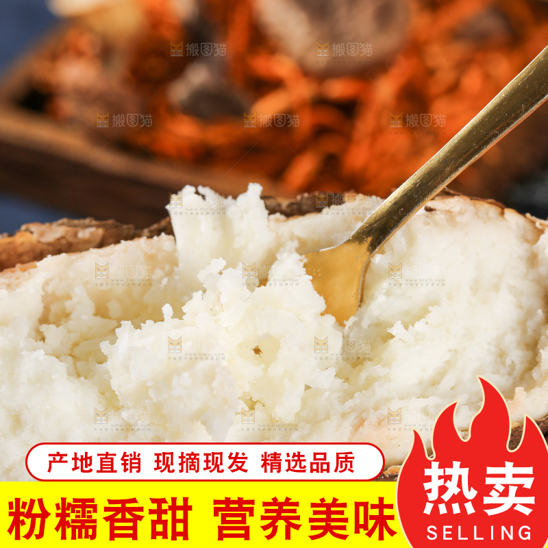 木底上的云南山药