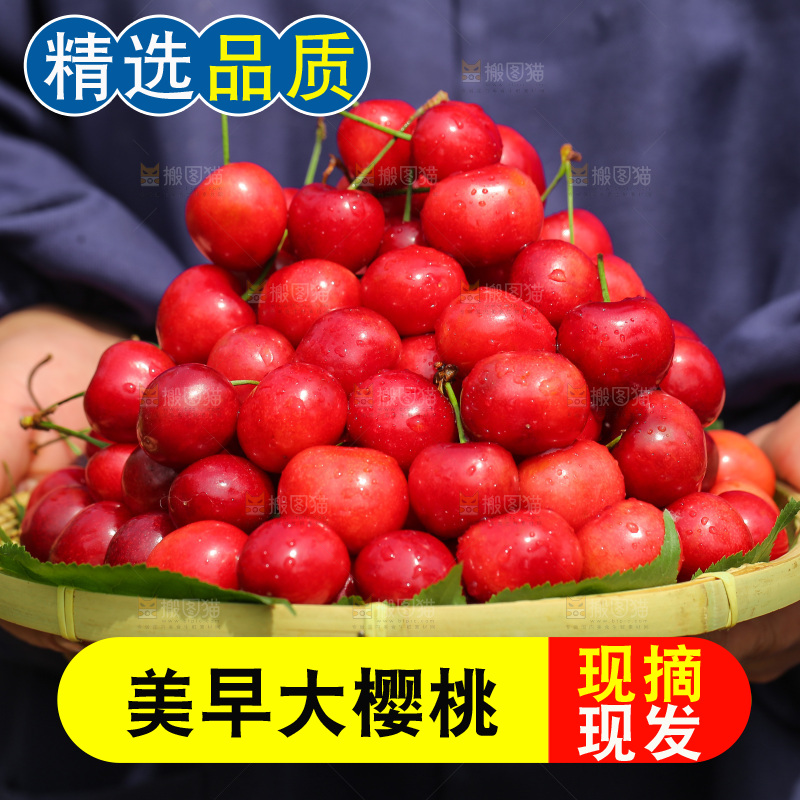 手里拿着新鲜大樱桃