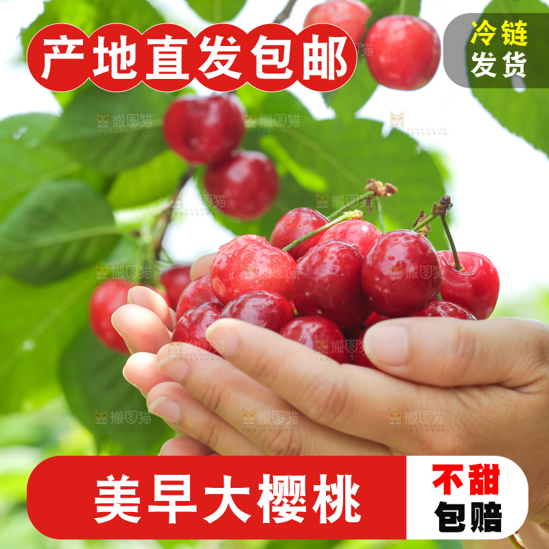 手里拿着新鲜大樱桃