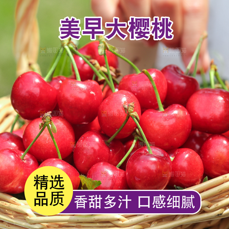 手里拿着新鲜大樱桃