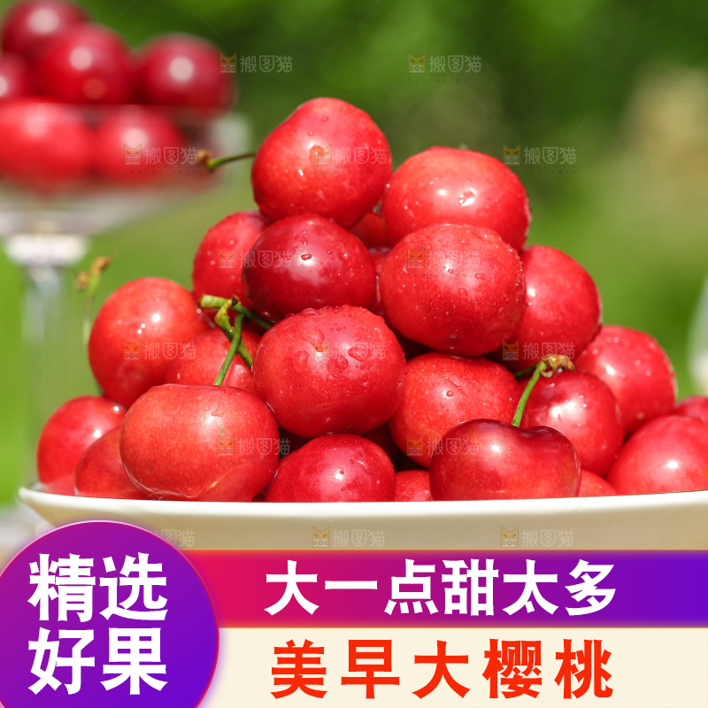 手里拿着新鲜大樱桃
